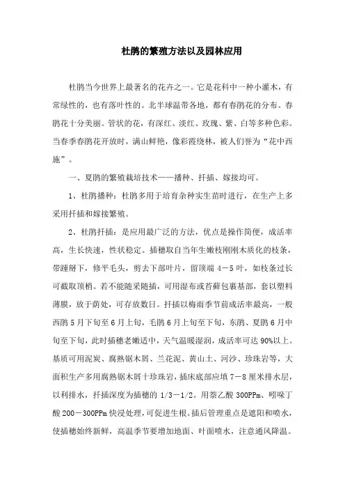 杜鹃的繁殖方法以及园林应用