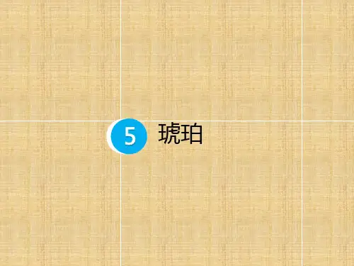 人教部编版《琥珀》精美课件2