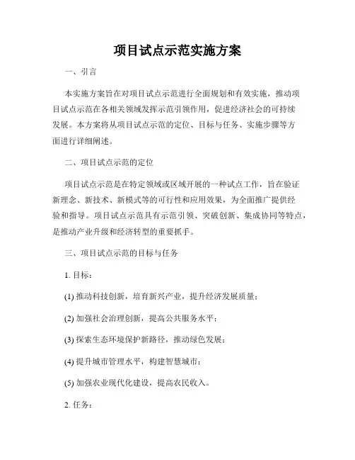 项目试点示范实施方案