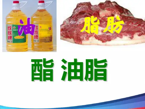 高中化学酯 油酯、糖类、蛋白质精品PPT课件
