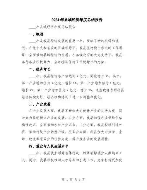 2024年县域经济年度总结报告