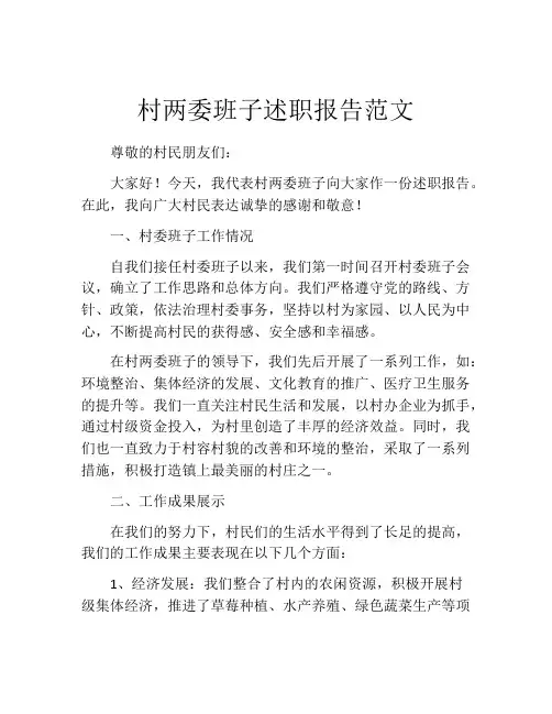 村两委班子述职报告范文