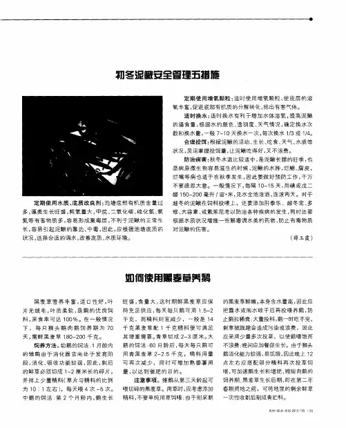 如何使用黑麦草养鹅
