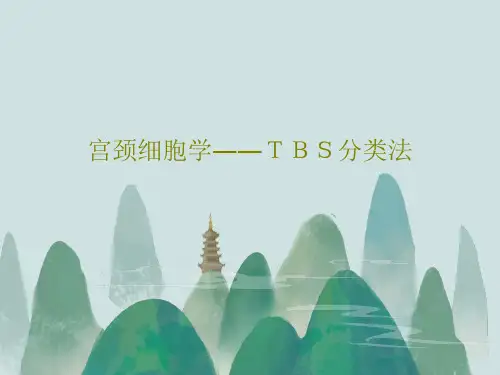 宫颈细胞学――TBS分类法共41页
