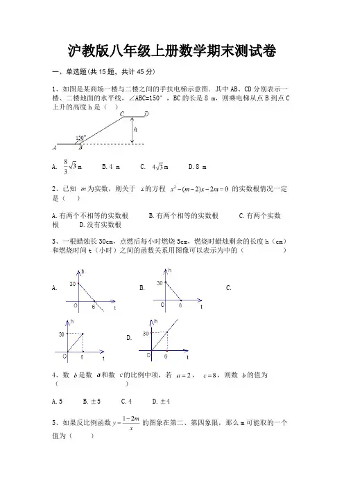 完整版沪教版八年级上册数学期末测试卷