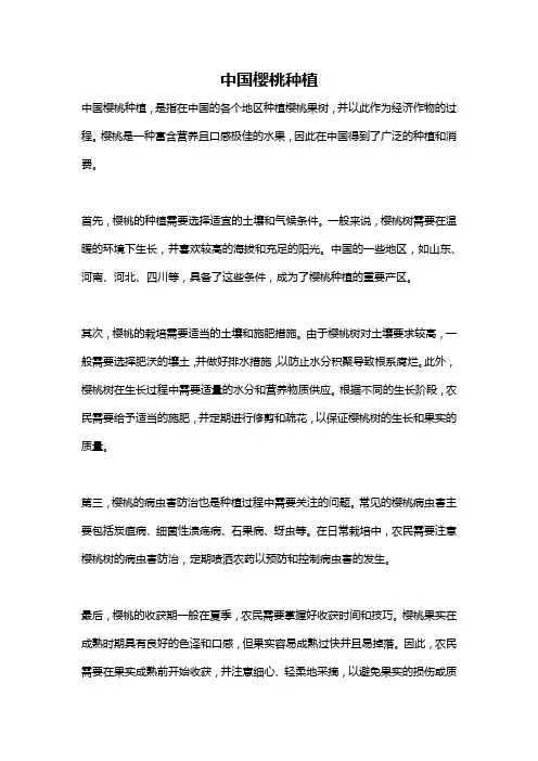 中国樱桃种植