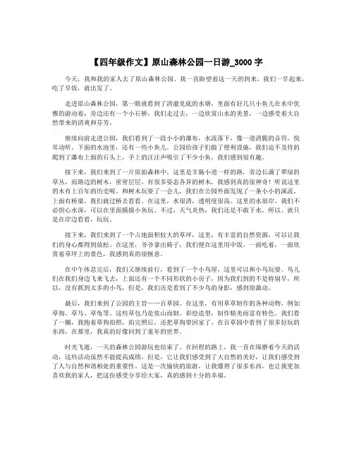 【四年级作文】原山森林公园一日游_3000字