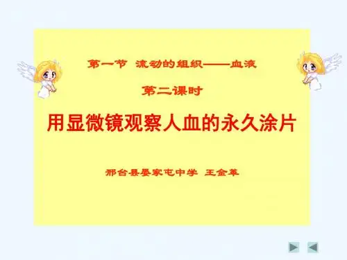 生物人教版七年级下册流动的组织---血液(第二课时 用显微镜观察人血涂片)
