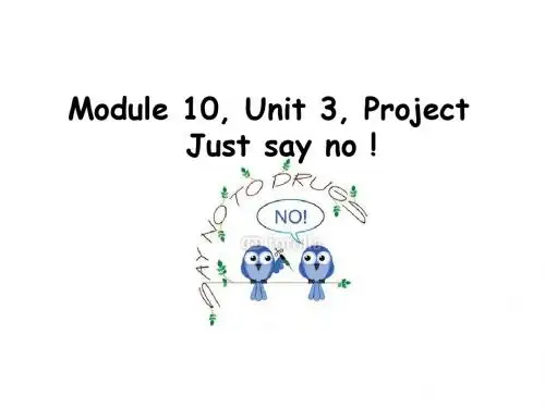 译林牛津版高中英语 Module 10 Unit 4 Law and order Project教学课件 (共17张PPT)