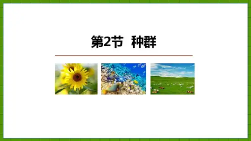《种群》PPT优秀课件