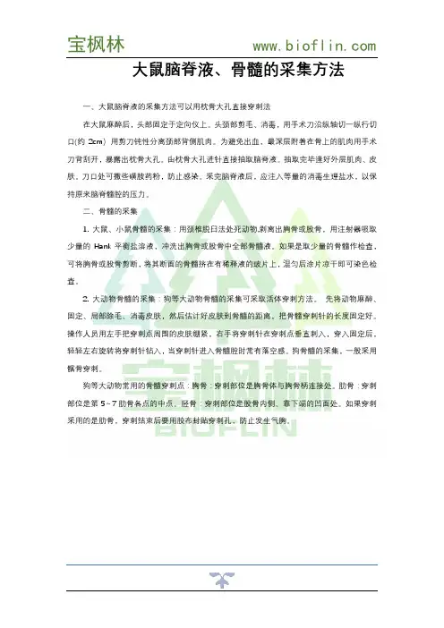 大鼠脑脊液、骨髓的采集方法