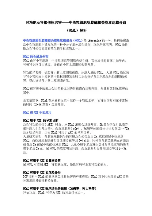 肾功能及肾损伤标志物——中性粒细胞明胶酶相关脂质运载蛋白(NGAL)解析