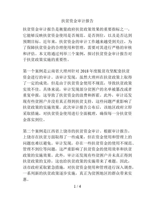 扶贫资金审计报告