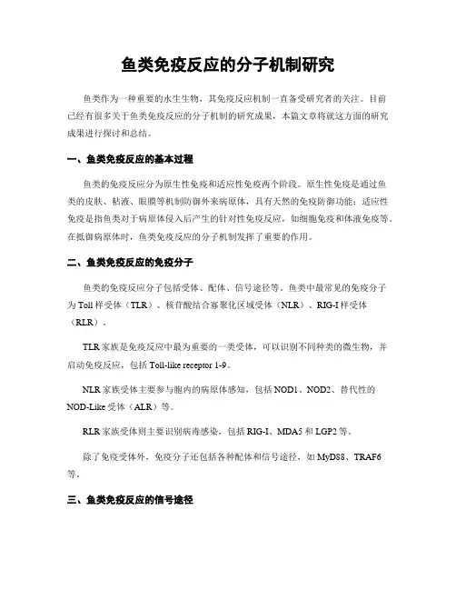 鱼类免疫反应的分子机制研究