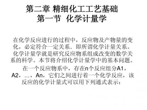第二章 精细化工工艺基础