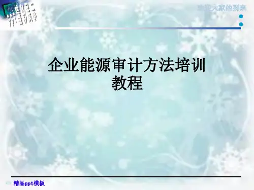 企业能源审计方法培训教程