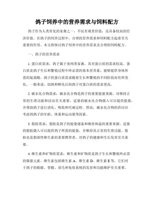 鸽子饲养中的营养需求与饲料配方