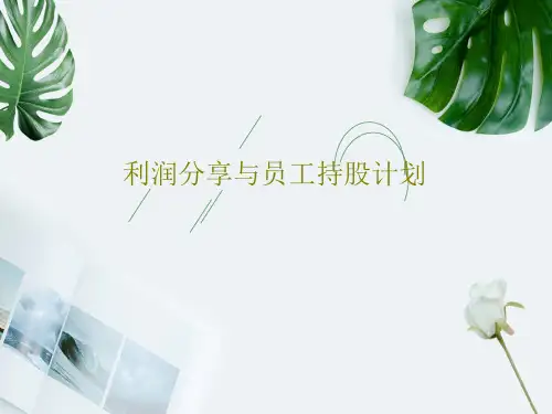 利润分享与员工持股计划51页PPT