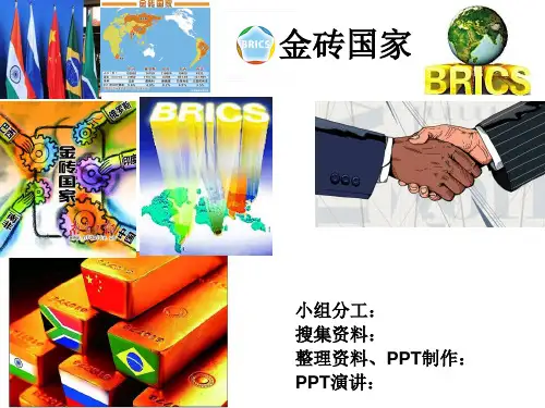 金砖国家