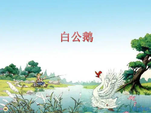 人教版四年级上册语文14 白公鹅PPT课件(共17张PPT)