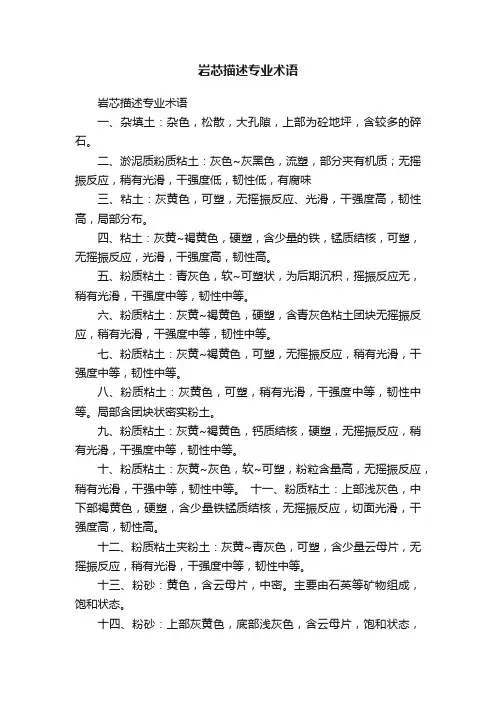岩芯描述专业术语