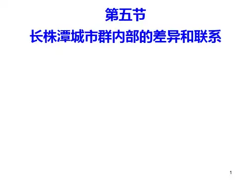 长株潭城市群内部的差异和联系PPT幻灯片课件