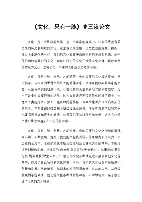 《文化,只有一脉》高三议论文