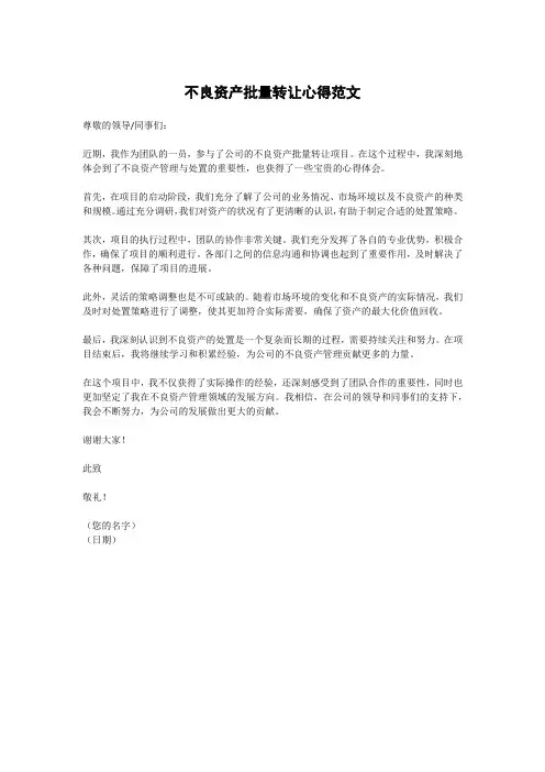 不良资产批量转让心得