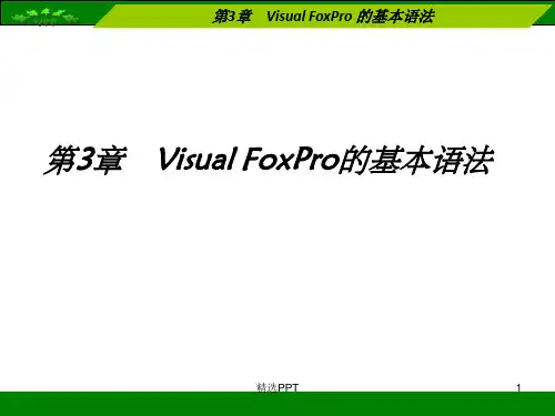 《VFP的基本语法》PPT课件
