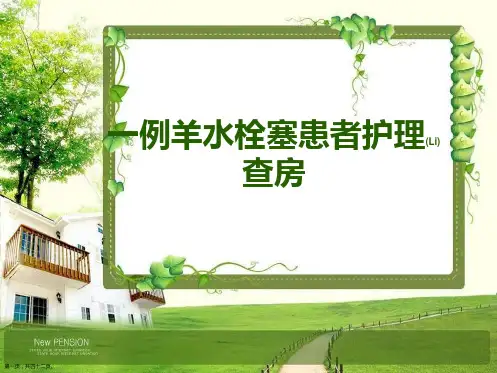 一例羊水栓塞护理ppt完整课件