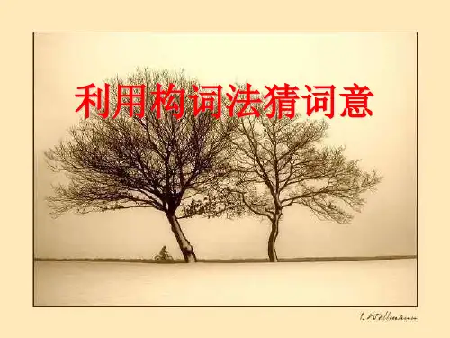 学会英语构词法,猜测词义