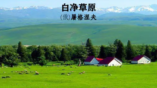 2023届高考专题复习：小说《白净草原》讲评  课件41张