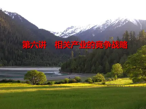 什么是竞争战略