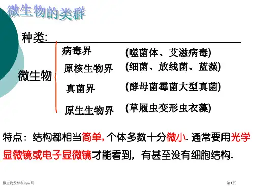 微生物发酵和其应用