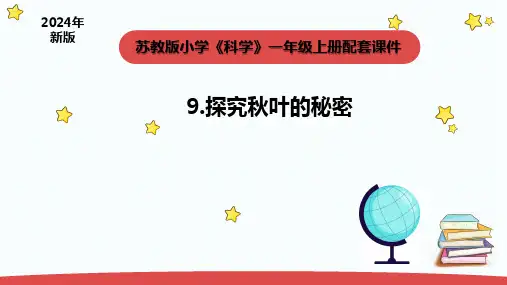 2024年秋苏教版一年级科学上册3.3.《探究秋叶的秘密》(课件)