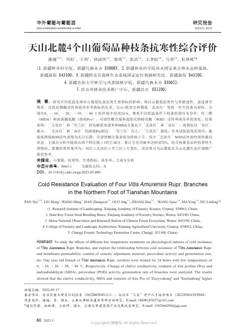 天山北麓4个山葡萄品种枝条抗寒性综合评价