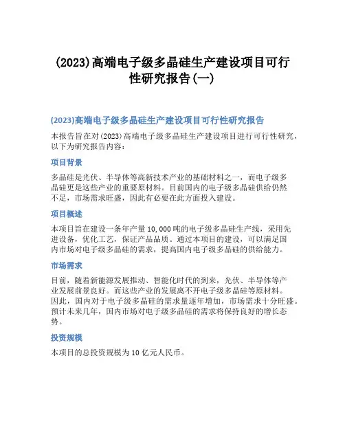 (2023)高端电子级多晶硅生产建设项目可行性研究报告(一)