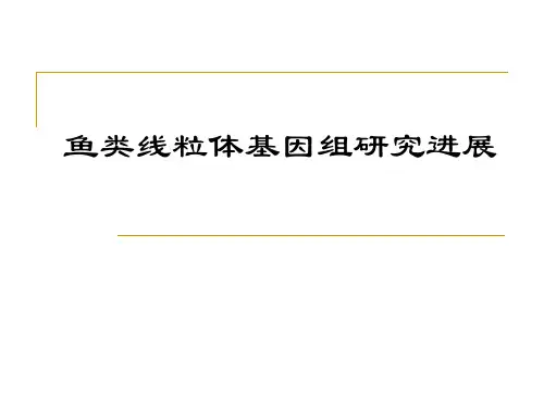 鱼类线粒体基因组研究进展