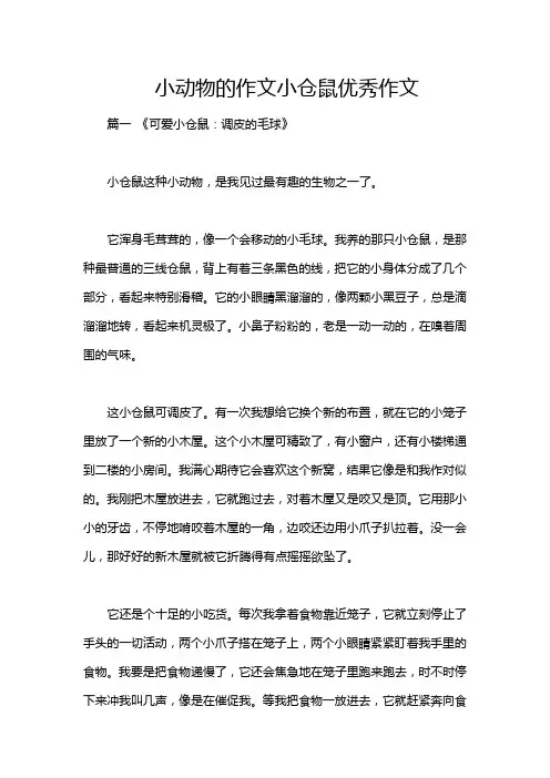 小动物的作文小仓鼠优秀作文