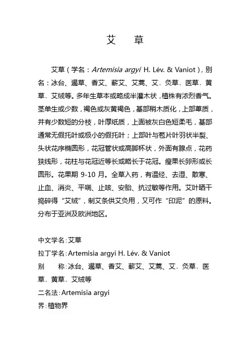 植物百科——艾草