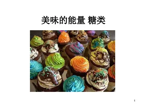 生物化学：Carbohydrates