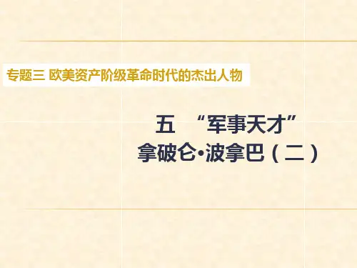 高中历史(人民版)选修4教学课件：专题三 五“军事天才”拿破仑·波拿巴(二)25张PPT)