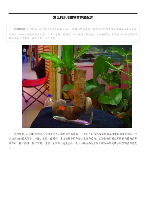 常见的水培植物营养液配方