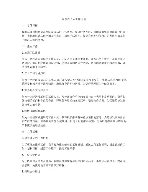 经发办个人工作计划