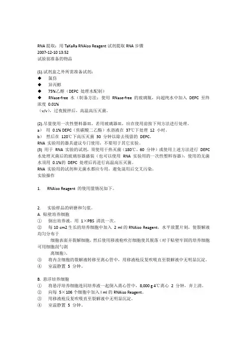 RNA提取步骤Word文档