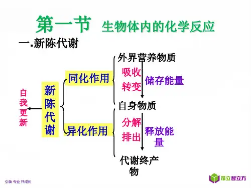 4.1 生物体内的化学反应