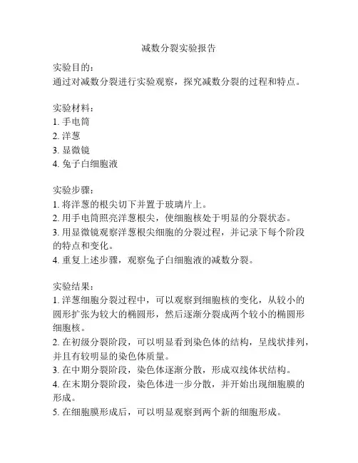 减数分裂实验报告