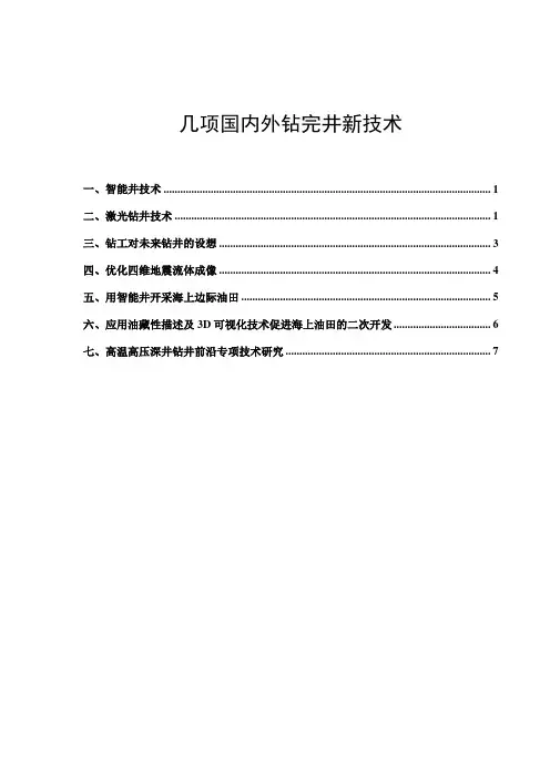 几项国际钻完井新技术