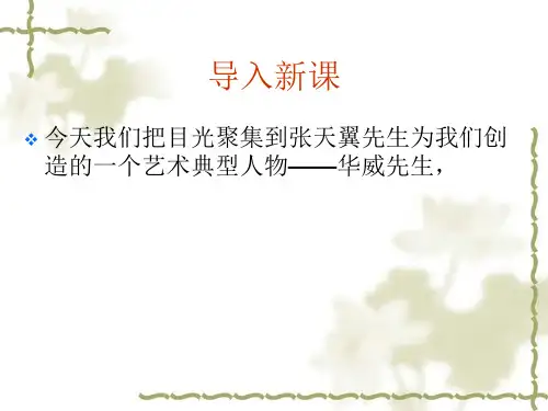 华威先生ppt (1)