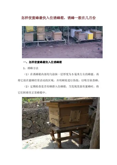 怎样使蜜蜂最快入住诱蜂箱,诱蜂一般在几月份